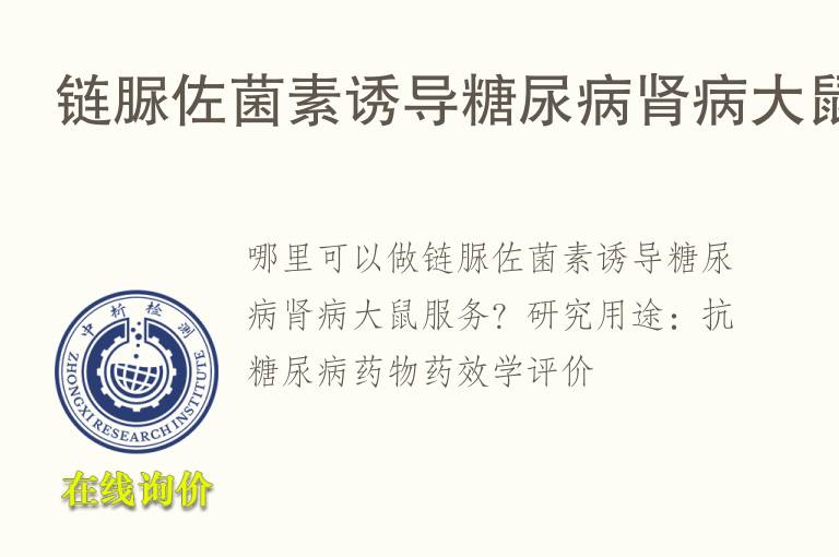 链脲佐菌素诱导<font color='red'>糖</font>尿病肾病大鼠
