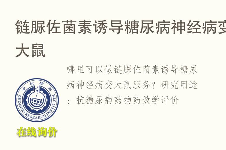 链脲佐菌素诱导<font color='red'>糖</font>尿病神经病变大鼠