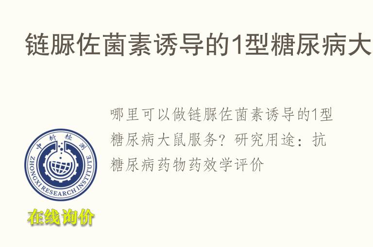 链脲佐菌素诱导的1型<font color='red'>糖</font>尿病大鼠